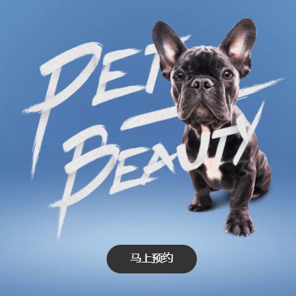 府谷宠物中心小程序开发